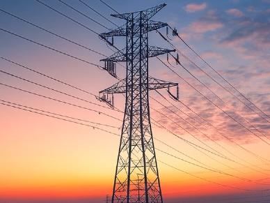 Surge Arrester